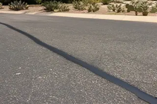 Rubberized sealant filling a linear crack in an asphalt surface surrounded by desert scrub in Goodyear, AZ.