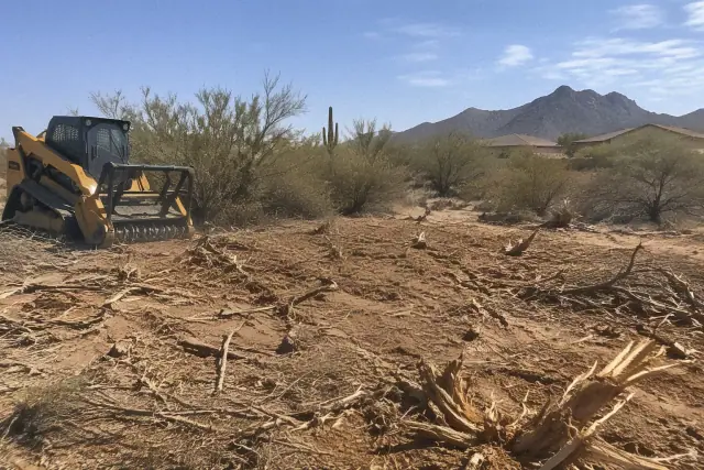 Land clearing and brush removal at a residential property in Mesa, AZ.