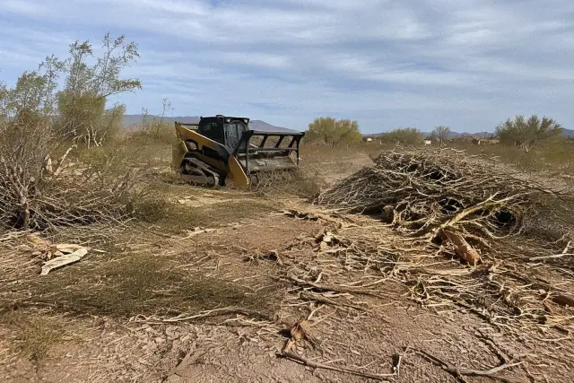 Freshly chipped native brush and cleared vegetation debris on a desert land clearing job in Apache Junction, AZ.