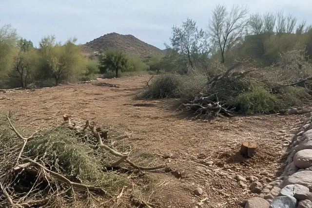Contractor progress photo of land clearing showing raw soil, cleared brush stumps, and chipped organic debris in Paradise