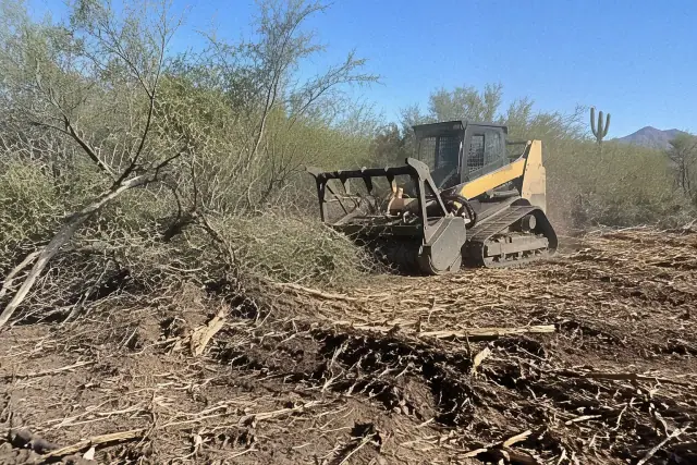 Forestry mulcher clearing dense brush and small trees from an overgrown plot in Phoenix, AZ.