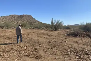 Contractor inspecting a completed land clearing project in Mesa, AZ.