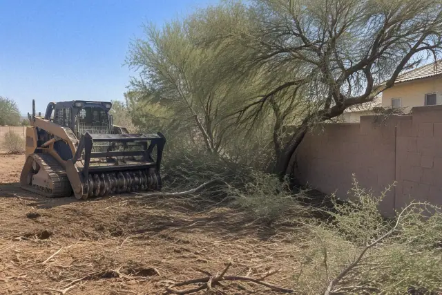 Heavy forestry mulcher clearing brush near trees and a boundary wall in Mesa, AZ.