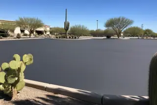 Finished, unpainted asphalt parking lot with saguaro and prickly pear cacti in Peoria, AZ.