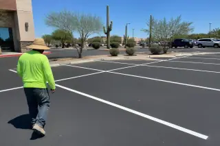 Contractor inspecting fresh white parking space lines on asphalt near Saguaro cacti in Phoenix, AZ.