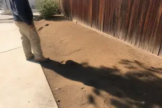 Technician inspecting cleared soil and rake marks between a concrete patio and wooden fence in Phoenix, AZ.