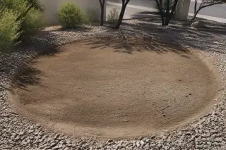 Freshly leveled soil with circular root scarring in a landscaped yard in Phoenix, AZ.
