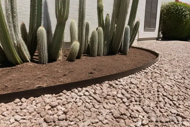 A manicured desert landscape with crushed stone, cactus, and fresh mulch in Phoenix, AZ.