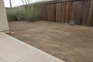 Raked earth patch where a saguaro was removed, next to a concrete patio and wooden fence in Phoenix, AZ.
