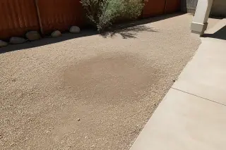 Completed saguaro cactus removal project with leveled soil and crushed granite in Phoenix, AZ.