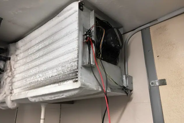 Technician testing a frosted evaporator coil in a walk-in commercial refrigerator in Peoria, AZ.
