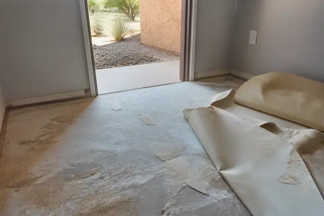 Vinyl floor removal showing adhesive residue on a subfloor at a jobsite in Peoria, AZ.