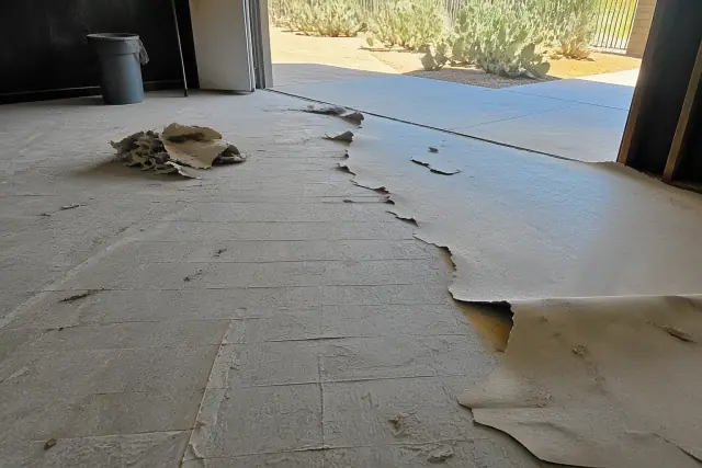 Vinyl flooring being removed from a subfloor during a demolition job in Phoenix, AZ.