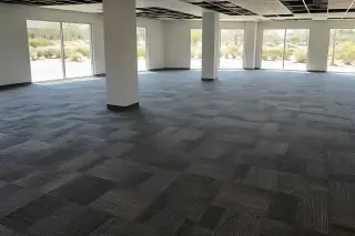 Finished carpet tiles in an open commercial office with desert views through windows in Phoenix, AZ.