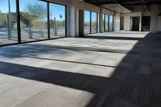 Seamless carpet tiles with sharp desert shadows and window views of cacti in a Phoenix, AZ office.