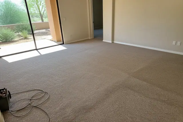 Freshly installed plush and textured carpet in a living room with desert landscaping visible in Phoenix, AZ.