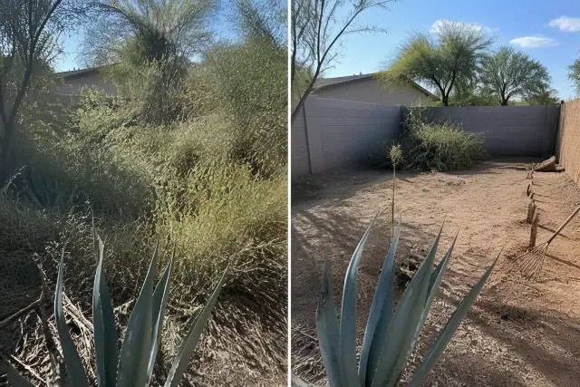 A contractor clearing a dense tangle of overgrown weeds and agave in a Phoenix, AZ yard.