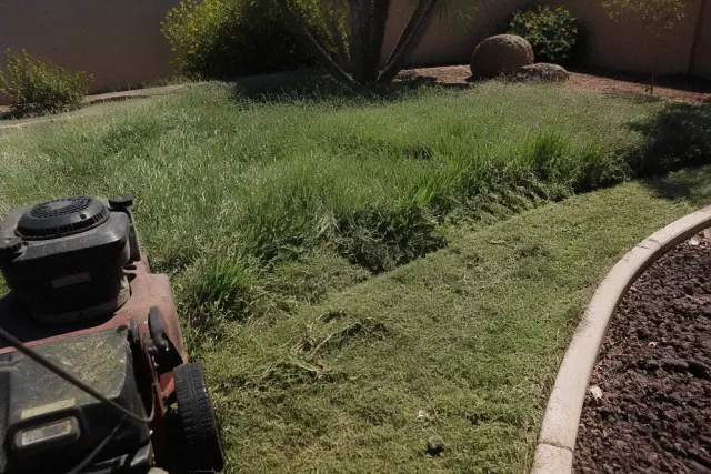 Commercial lawnmower parked on a freshly mowed path through overgrown grass in Phoenix, AZ.