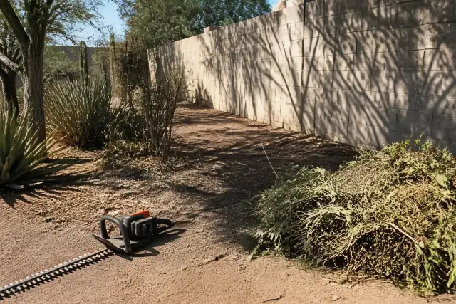 A hedge trimmer and a pile of garden debris during commercial landscape maintenance in Phoenix, AZ.
