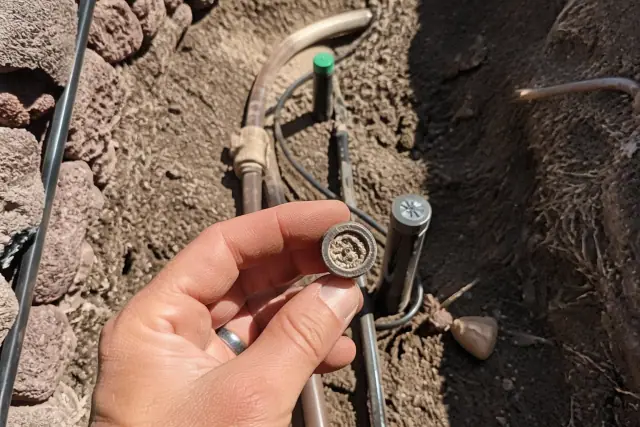 Hard-water scale buildup inside a drip irrigation emitter in a Phoenix, AZ landscape trench.