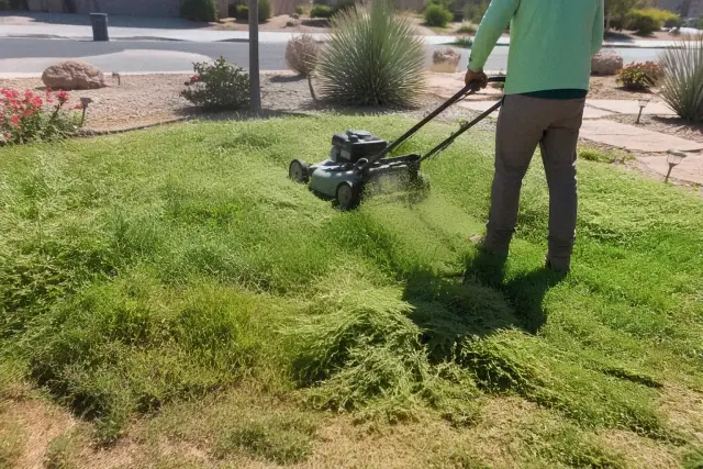 A worker mowing an overgrown lawn with desert landscaping in the background in Glendale, AZ.