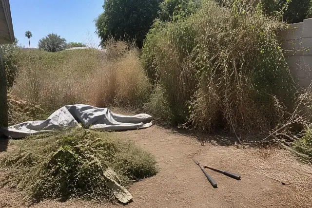 Landscaper clearing overgrown weeds and desert vegetation from a garden corner in Scottsdale, AZ.