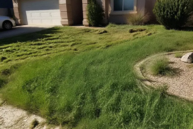 Uneven lawn with grass clippings and gravel borders being mowed during a landscape maintenance job in Gilbert, AZ.