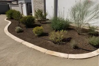 Finished residential landscape project with native shrubs, irrigation, and desert gravel in Phoenix, AZ.