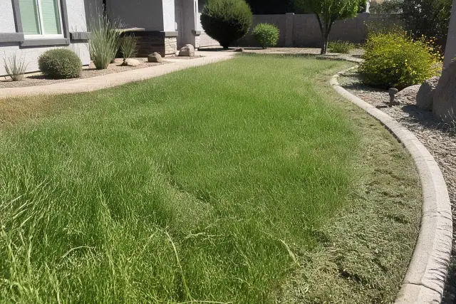 Professional lawn mowing service in progress at a residential property in Peoria, AZ.