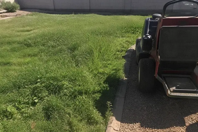 A push mower cutting uneven grass, weeds, and dry soil at a residential jobsite in Gilbert, AZ.
