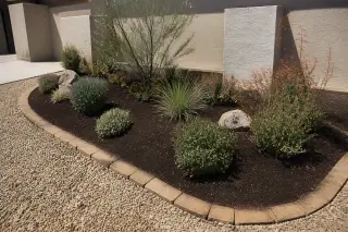 Stone edging bordering a prepared soil bed with mulch in a Phoenix, AZ landscape.