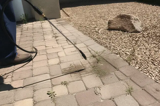 A technician using a spray wand for weed control between stone pavers in Phoenix, AZ.