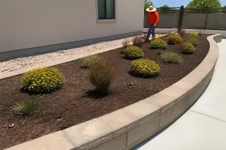 Technician inspecting ornamental plants and irrigation emitters in a stone-edged garden bed in Phoenix, AZ.