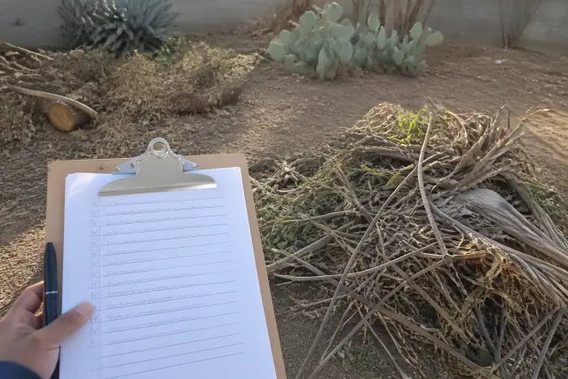 A clipboard with a job checklist and a pile of cleared organic waste in a yard in Phoenix, AZ.
