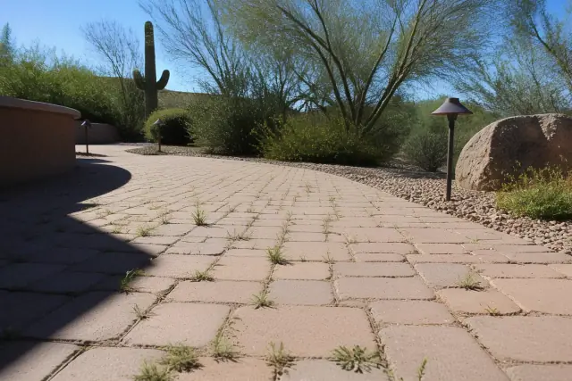 Technician using a pump sprayer to apply weed control to plants growing between stones on a paved path in Phoenix, AZ.