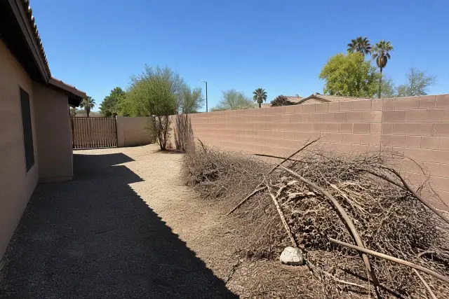 A contractor clearing organic yard waste from a desert gravel perimeter in Phoenix, AZ.