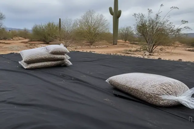 Decorative rock and gravel landscaping with desert soil and ocotillo plants in Phoenix, AZ.