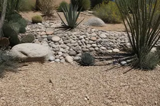 Decorative river rock and granite covering a yard with desert succulents in Phoenix, AZ.