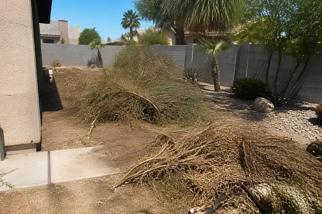 Yard cleanup of fallen branches and debris in a desert landscape in Phoenix, AZ.