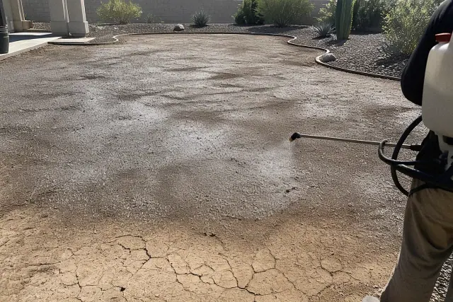A professional backpack sprayer treats bare soil for weed control in a Phoenix, AZ landscape.