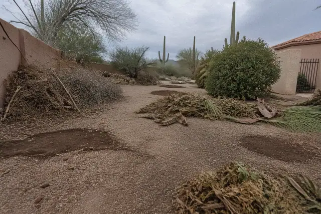 Piles of raked palm fronds and organic yard debris during landscape cleanup in Phoenix, AZ.