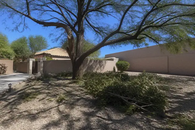 Tree trimming in progress with a pile of fresh branch clippings on desert gravel at a jobsite in Phoenix, AZ.