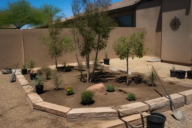 Newly planted trees and flowers in a stone-edged garden bed with crushed granite in Phoenix, AZ.