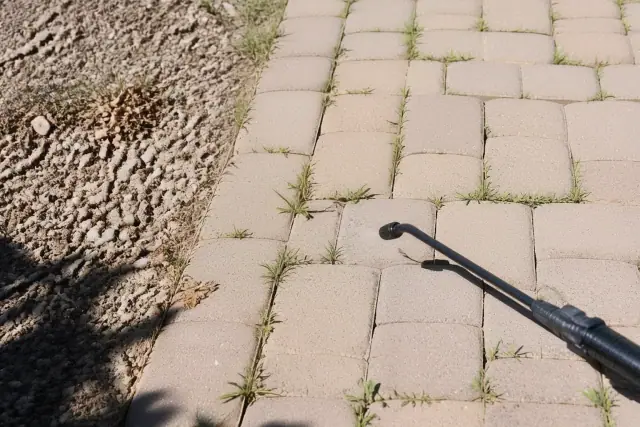Weeds growing between pavers on a gravel walkway during a weed control service in Goodyear, AZ.