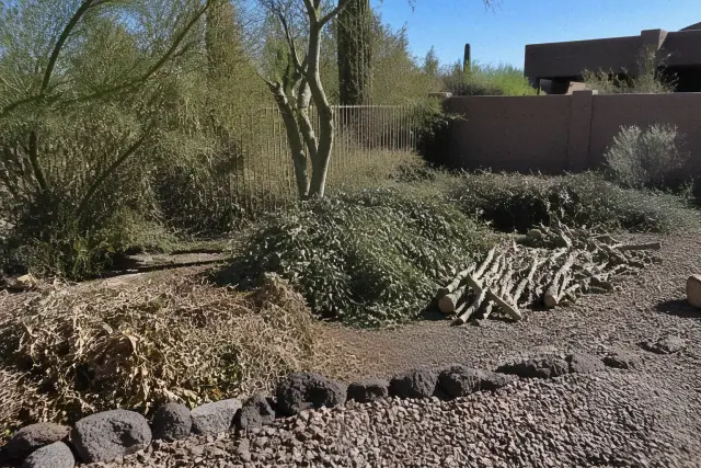 Piles of yard waste and cleared brush from an active cleanup project in Cave Creek, AZ.
