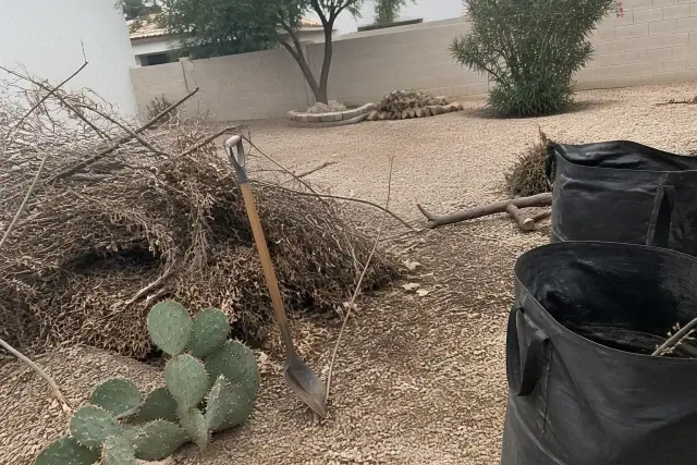 Yard cleanup of debris and organic waste at a property edge in Mesa, AZ.