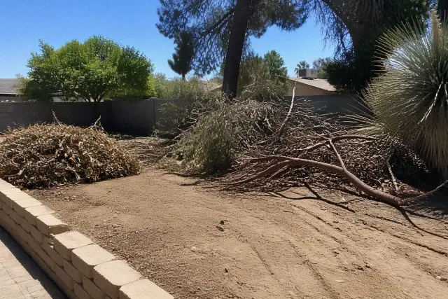 Piles of fallen branches and yard waste ready for cleanup in a desert landscape in Tempe, AZ.