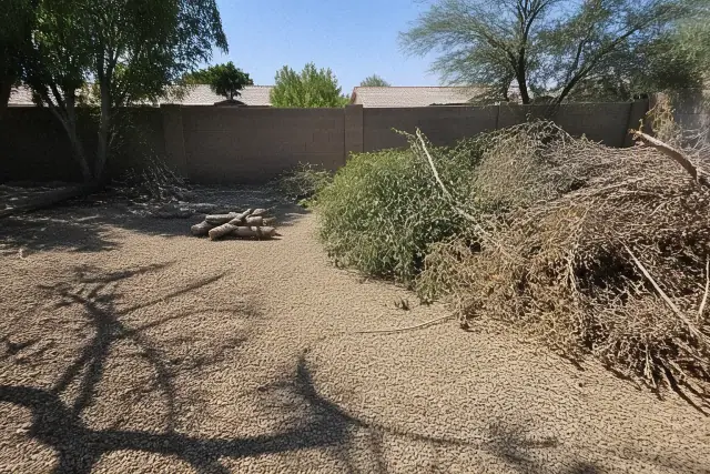 Piles of organic yard waste and branches staged for removal during a backyard cleanup in Goodyear, AZ.