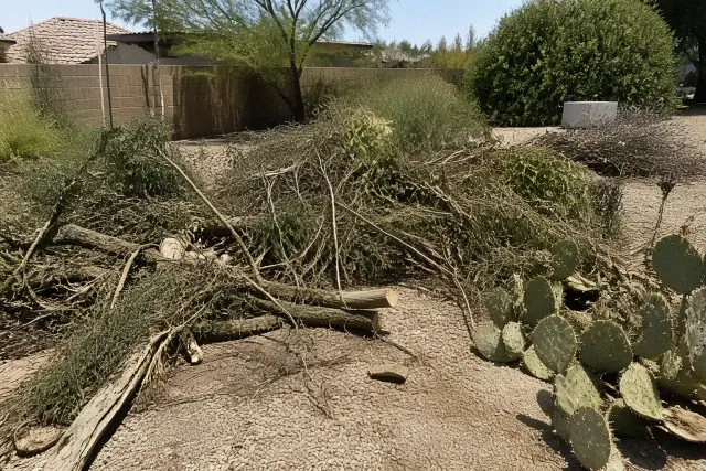 Yard cleanup with piles of organic waste, fallen branches, and cleared soil in a desert landscape in Peoria, AZ.