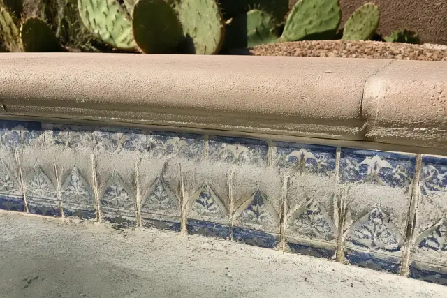 Calcium scale and mineral deposits on pool waterline tiles in a Phoenix, AZ backyard with prickly pear cactus.